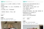 梦见经血闲鱼：LABUBU搜索量环比上涨1000%，供不应求下现租赁新形式