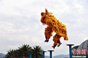 梦见经血（文化中国行）壮乡狮舞闯南洋：脚踏“云桩” 饮誉海内外